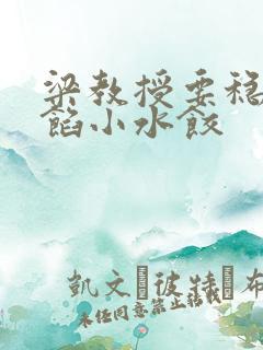 梁教授要稳住肉馅小水饺