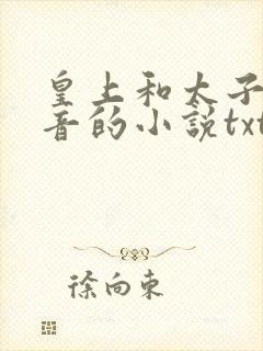 皇上和太子妃沈音的小说txt