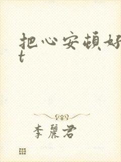 把心安顿好txt