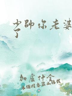 少帅你老婆又跑了