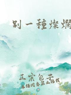 别一种灿烂生活