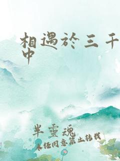 相遇于三千肉文中
