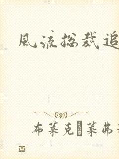 风流总裁追妻记