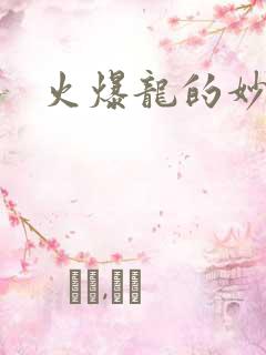 火爆龙的妙管家