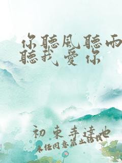 你听风听雨却不听我爱你