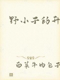 野小子的升官路