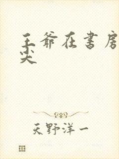 王爷在书房含乳尖