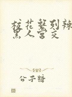 校花系列辣h文黑人宫交