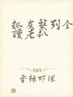 抓灰系列全文阅读老扒