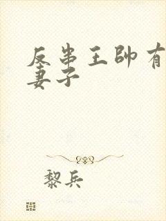 反串王帅有几任妻子