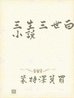三生三世白暮泪小说