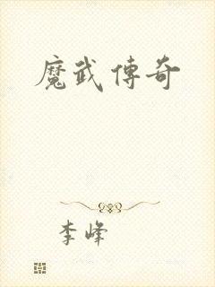 魔武传奇