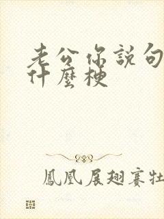 老公你说句话啊什么梗