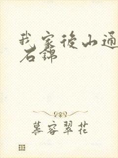 我家后山通仙界石锦