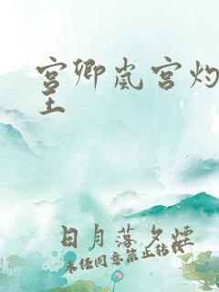 宫卿岚宫灼摄政王