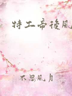 特工帝后风九少