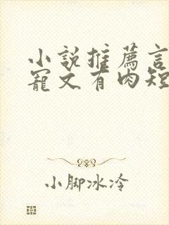 小说推荐言情甜宠文有肉短篇完结