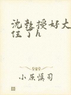 沈教授好大含不住了h