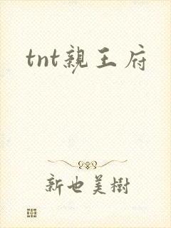 tnt亲王府