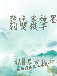 楚晚宁被墨燃做到哭棋子