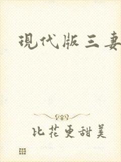 现代版三妻四妾