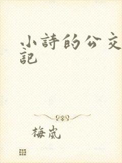 小诗的公交车日记