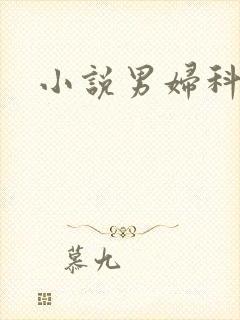 小说男妇科医生