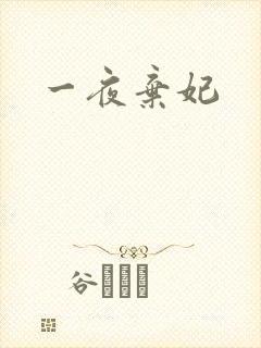 一夜弃妃