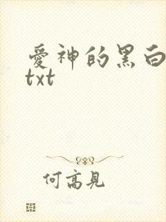 爱神的黑白羽翼txt