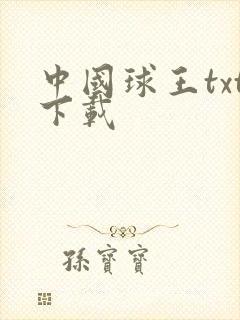 中国球王txt下载