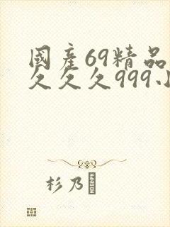 国产69精品久久久久999小说