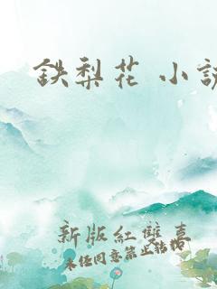 铁梨花 小说