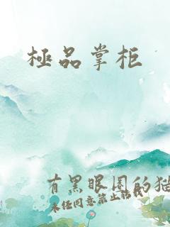 极品掌柜