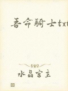 吾命骑士txt