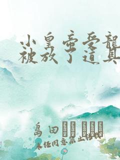 小皇帝受龙椅上被放了道具