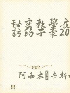 秘密教学夜晚到访的子豪20话