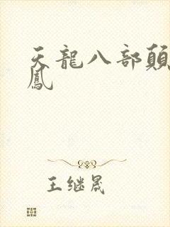 天龙八部颠龙鸾凤