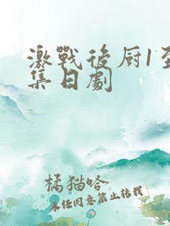 激战后厨1至5集日剧