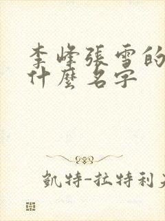 李峰张雪的书叫什么名字