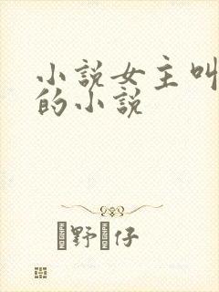 小说女主叫洛蓝的小说