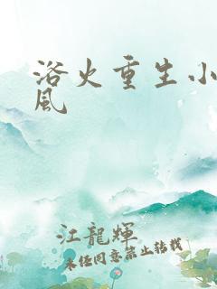 浴火重生小说陈风