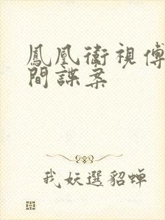 凤凰卫视傅晓田间谍案