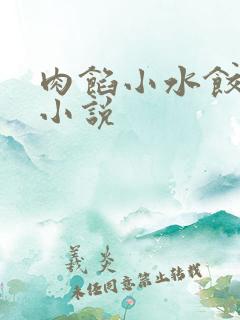 肉馅小水饺写的小说