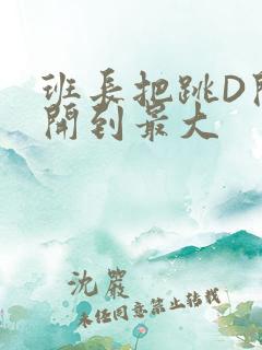 班长把跳D开关开到最大