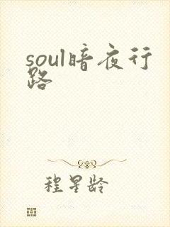 soul暗夜行路