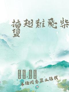 插翅难飞柴米油盐