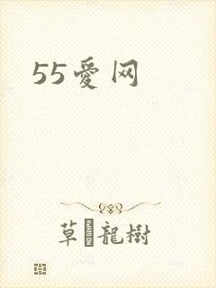 55爱网