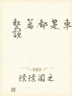 整篇都是车的小说