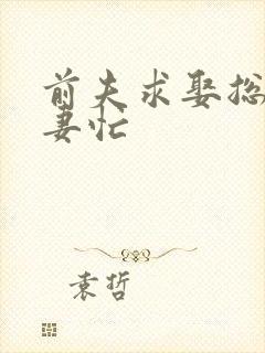 前夫求娶总裁追妻忙