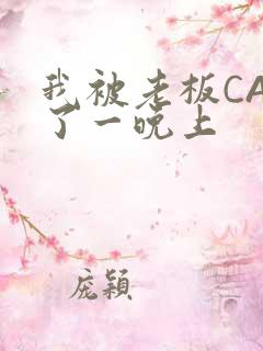 我被老板CAO了一晚上